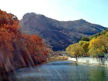 新澳天天开奖资料大全旅游团，胶合板厚度